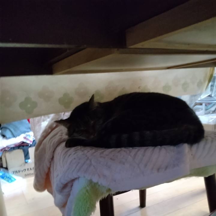 159d9fff f377 4429 a4a2 7f5666db1be3 1668136533500