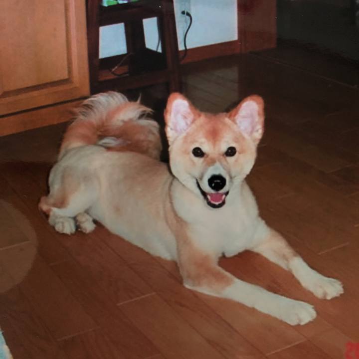 159db99a b3a0 4964 bafc cb4d9c0f737d 1534293649023