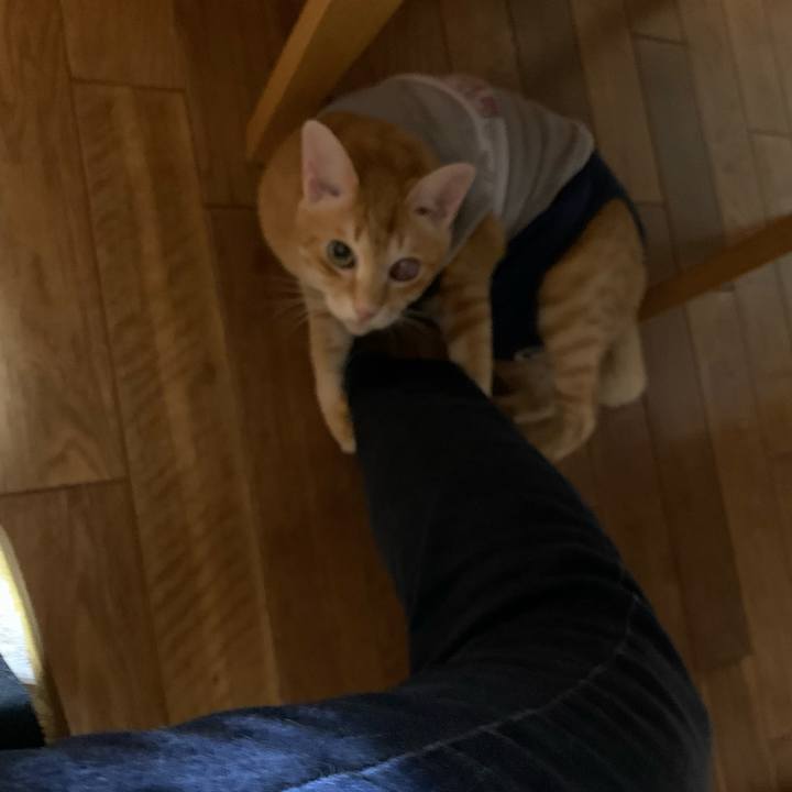 159e0b2b 0144 4abc 9495 4d76ea773cef 1606396799352