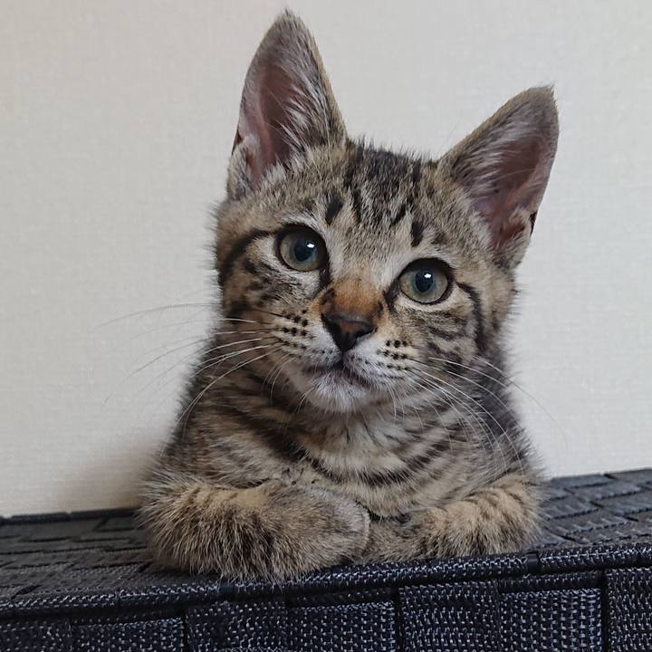 159e8289 a0fc 4957 a526 c4fb7a4c7d25 1560916253570