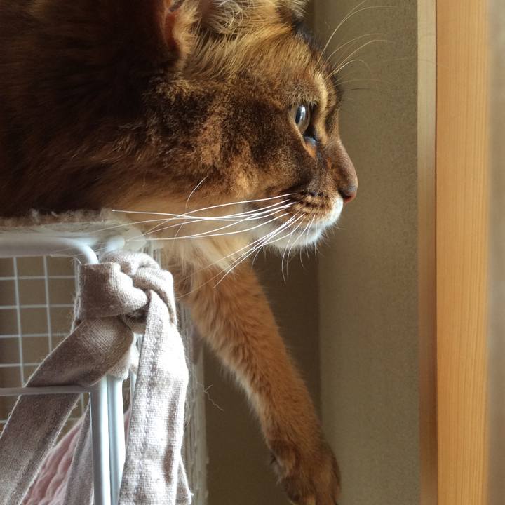 159ebaf4 dd2b 4ce5 9d6b 696df603dd2d 1614128222998