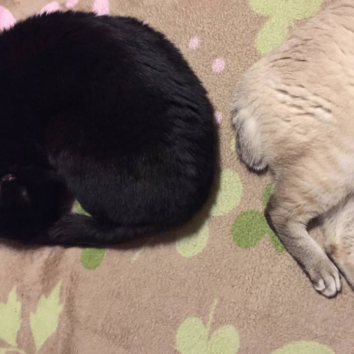 159eff38 4b26 4961 828f a05312541e37 1549143019649