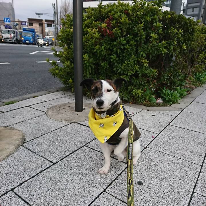 159f03a7 1d52 4d30 b2f7 ddc9351745c1 1521756386074