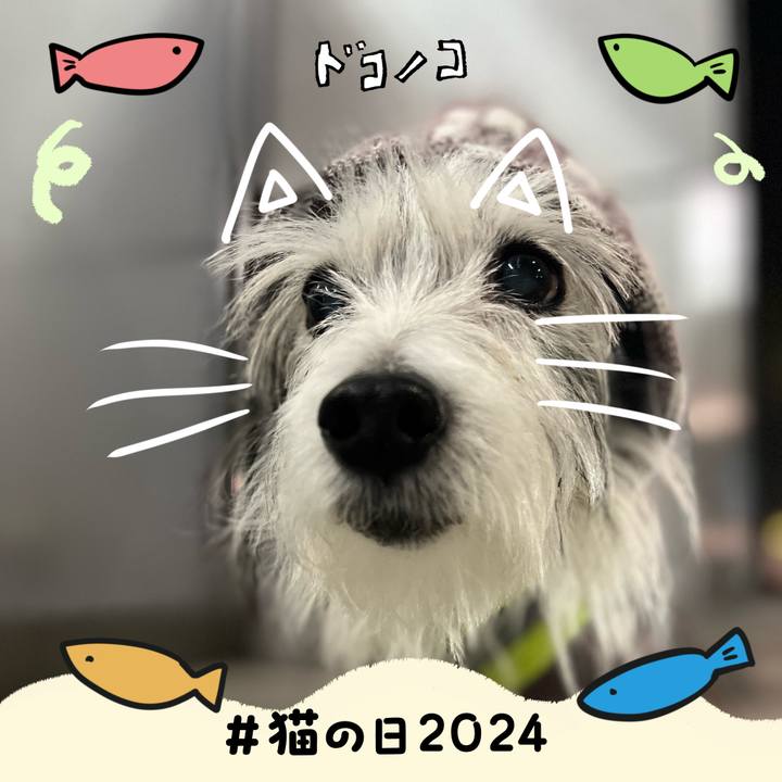 159f0801 61e1 4ab8 9122 a5b2c1032857 1708560456021