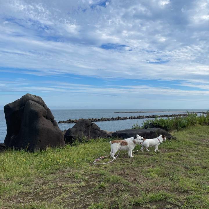 159f27fc 8aa5 499c 90b2 45bc941fc65c 1789168314420
