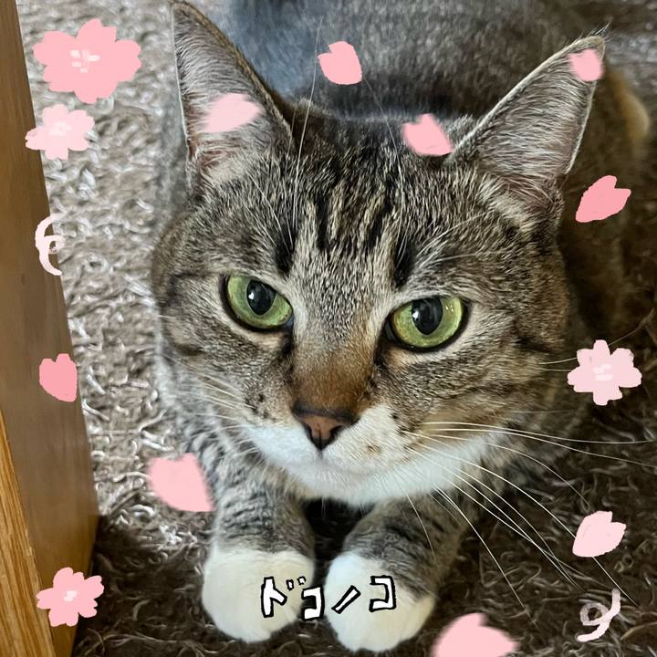 159f6c2e c6d3 4963 be97 1d77a98978e4 1744813916676