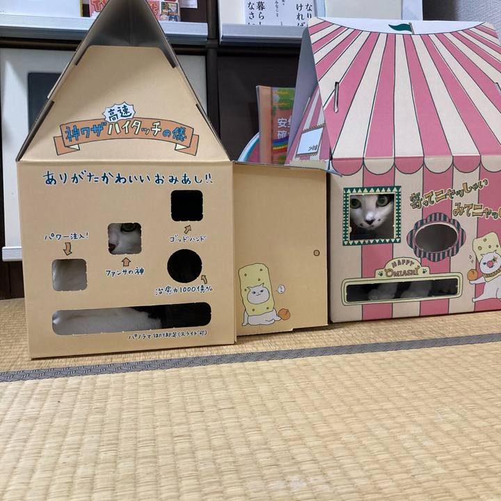 159f6e28 d6f2 4060 9132 0f2f02bdb59d 1773920799121