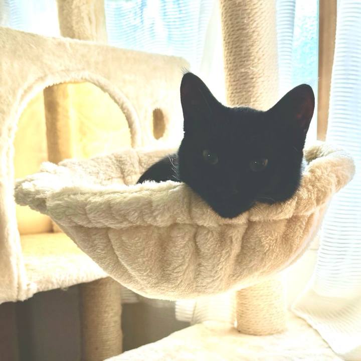 159fdee6 41c8 4fc5 8433 8e8c22a552f5 1731634160700