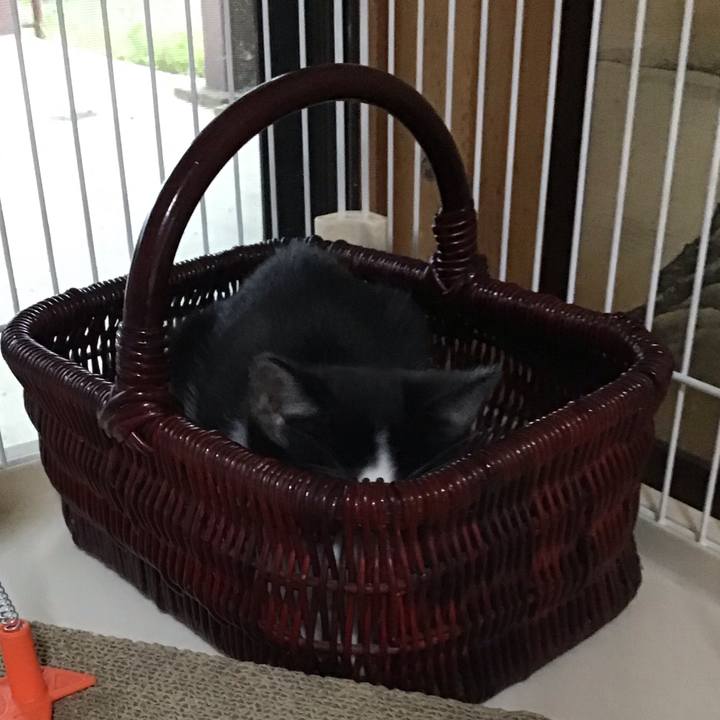 15a01786 c4a9 4c73 84e7 7b1acc65bc18 1625474301782