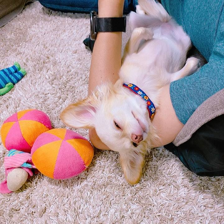 15a02b8c c8b6 4ac8 982b ad4154ba2fe8 1632544482395