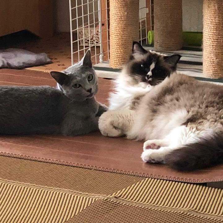 15a03654 7dbc 4def aac6 a0f9045a91df 1547950339461