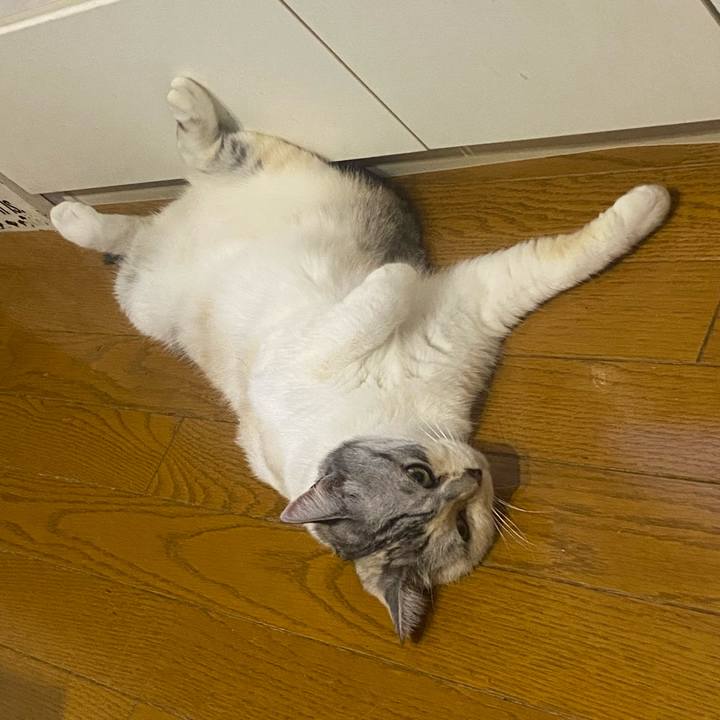 15a03abd 0906 46de b75e 77f1d9bf585f 1660658430990