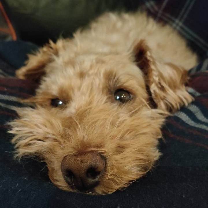 15a0a47f ce3e 44d4 b7fb 9b44635dee82 1587860739458