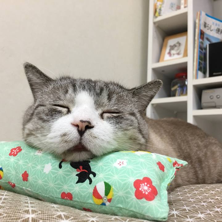 15a115b8 2ba3 41d6 ab72 c9bac84adfdf 1526479618781