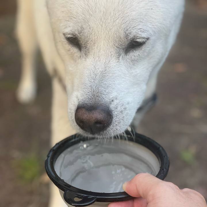 15a12b8e 4317 43c2 b654 93ca23656738 1722421273577