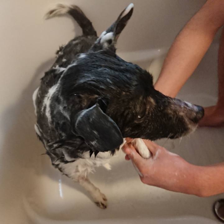 15a1341b a4f7 4837 bcb6 3f617905b02e 1553490214503