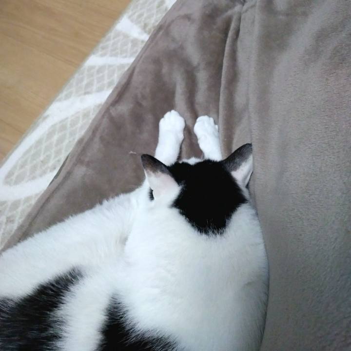 15a145ed aae4 4ea4 8658 4901606c7d85 1550405136806