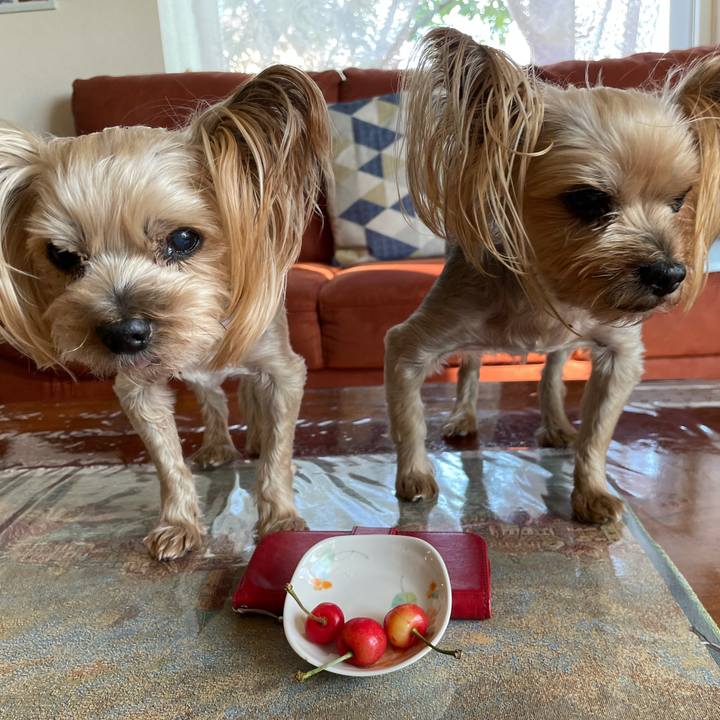 15a168c3 11aa 40a8 bfb3 eb1acb8289d2 1624787779436