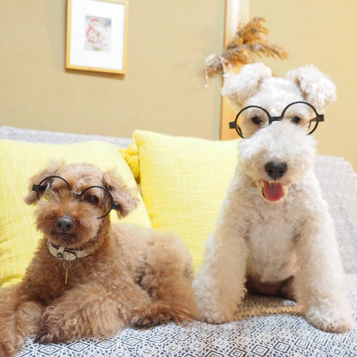 15a178b1 0639 42c8 9f92 eabccf005d50 1597324889570