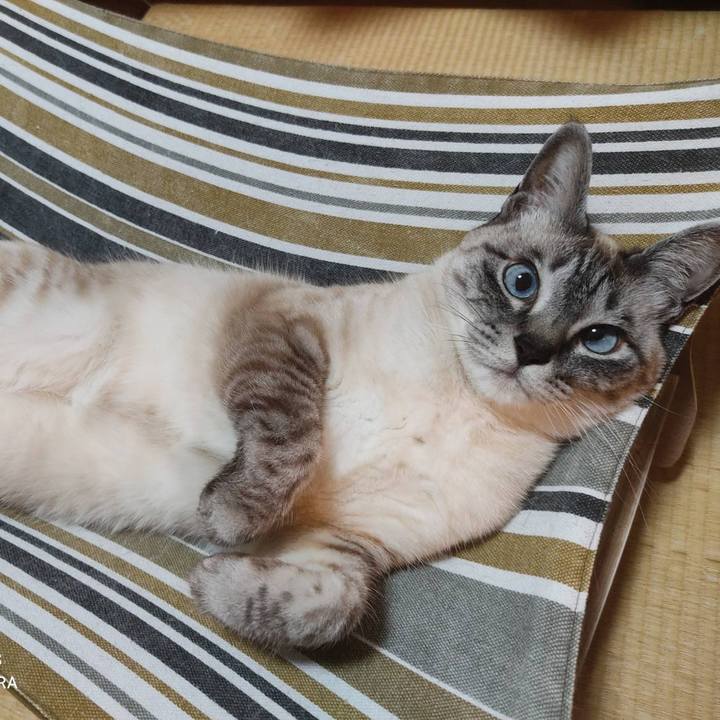 15a17a92 cdfa 42d8 a1f4 93a9c2384c08 1619235844185