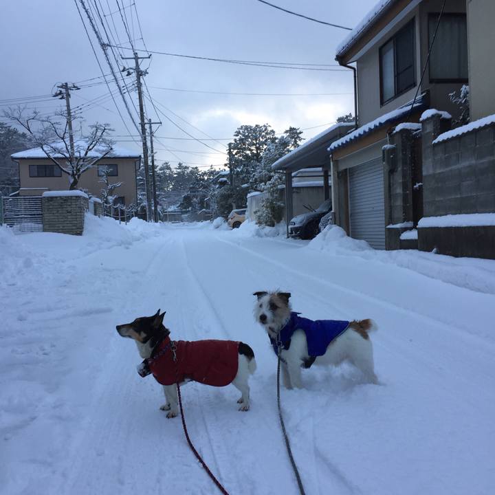 15a1a8c7 960d 477d 9592 0f865ec2b5a0 1517963083721