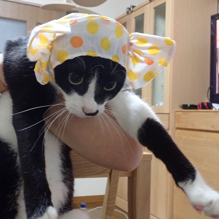 15a1f91f 45a9 4517 8e95 5fd6aaf866ec 1529075803446