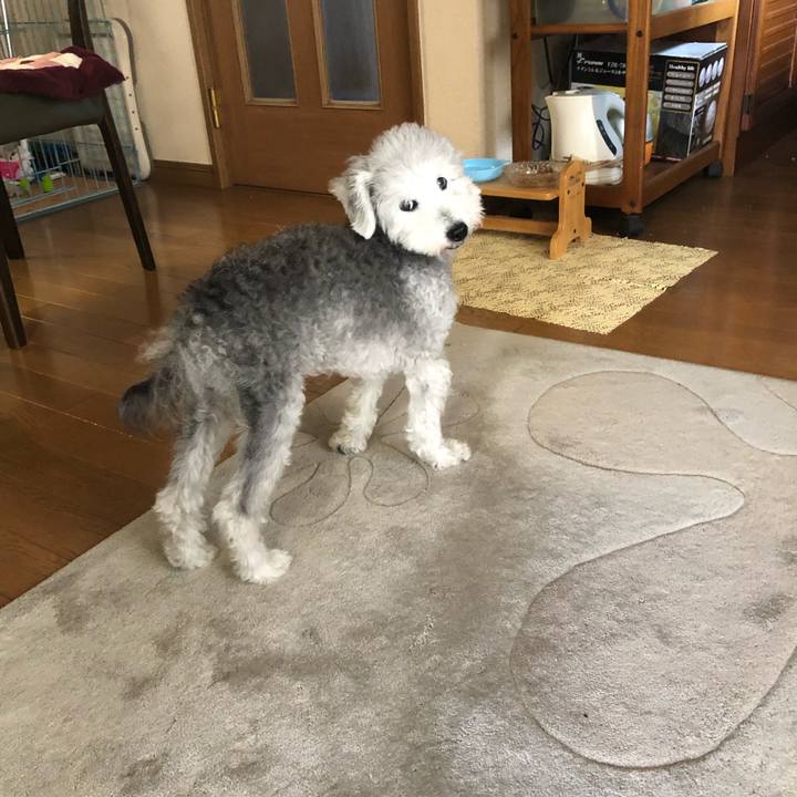 15a20079 33b8 4c67 831d f872bdb9afa5 1662421760001