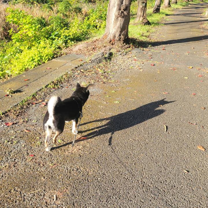 15a22f2d 7dfd 4697 9ae2 b28b449346b5 1763074622188