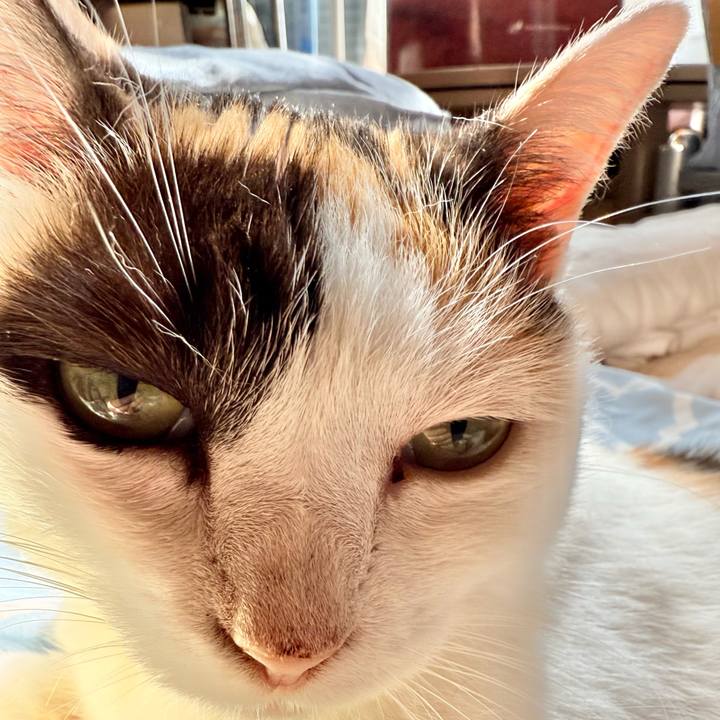 15a275f6 7753 4503 9e00 d87e8007bd26 1754706998208