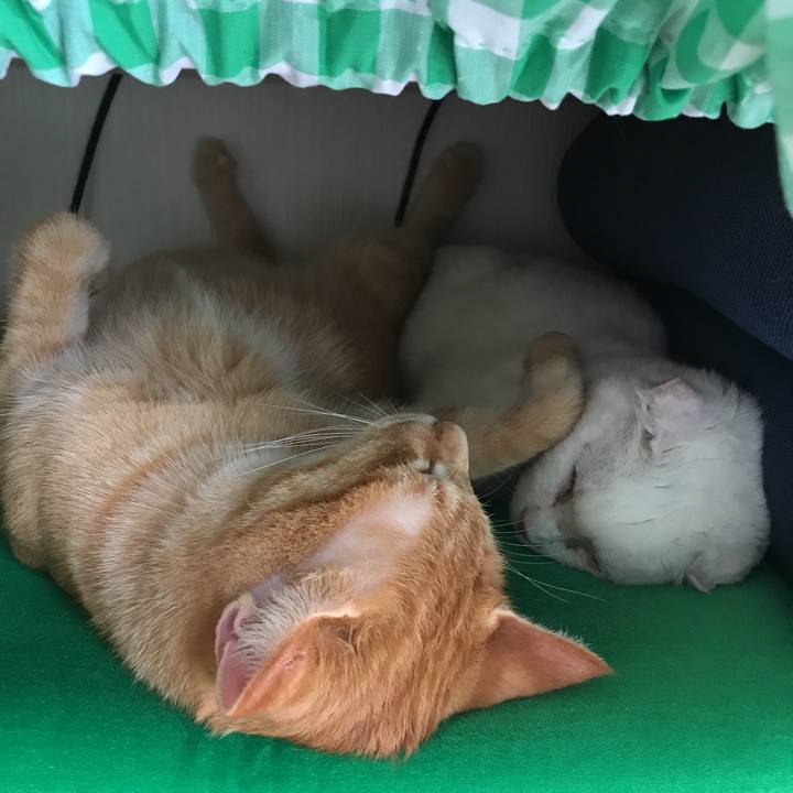 15a27e3b baaa 4245 8e18 63ccfb82ac68 1508307113285