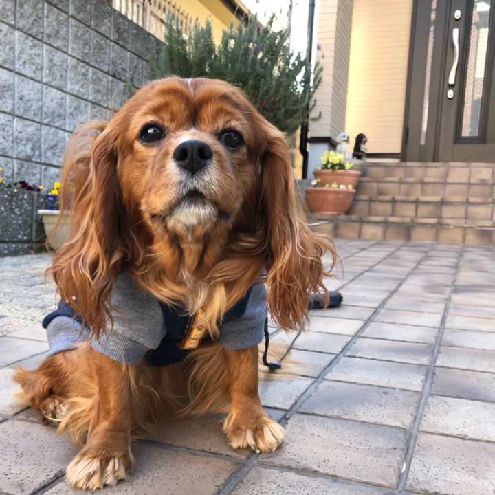 15a28d62 2d4f 46d1 97f4 9ec251632f83 1646346558768