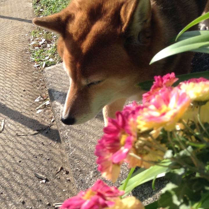 15a291dc 4c94 4a33 9e6e ce819abf85cb 1543636534567