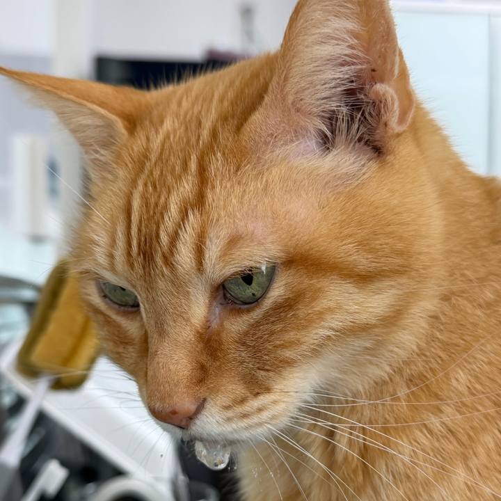 15a29fe9 2ec6 4e6e bfeb 815855c07d9c 1771291140794