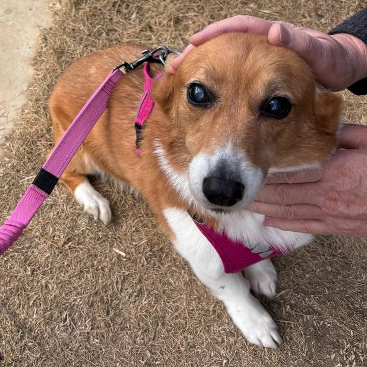 15a2c194 0e4d 49d4 a812 34da1fc918d7 1738830930894