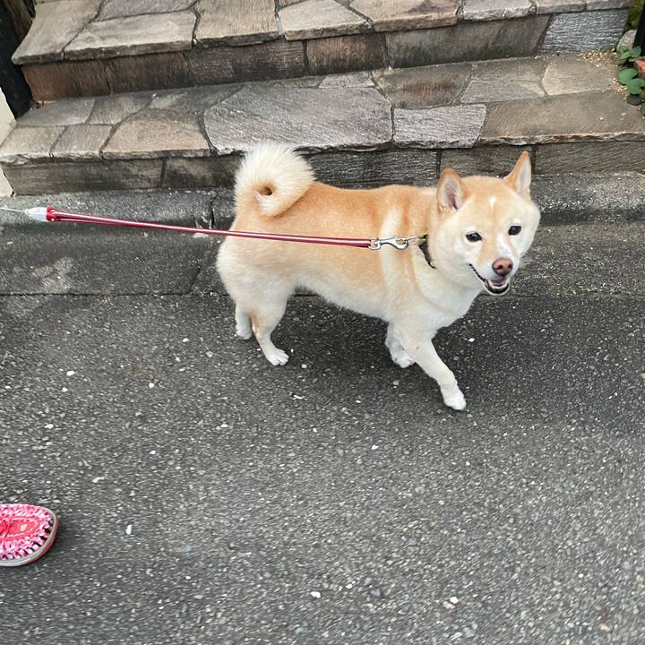 15a2cc2a 5c21 492f b95f f4ae5a32a75e 1696713327864