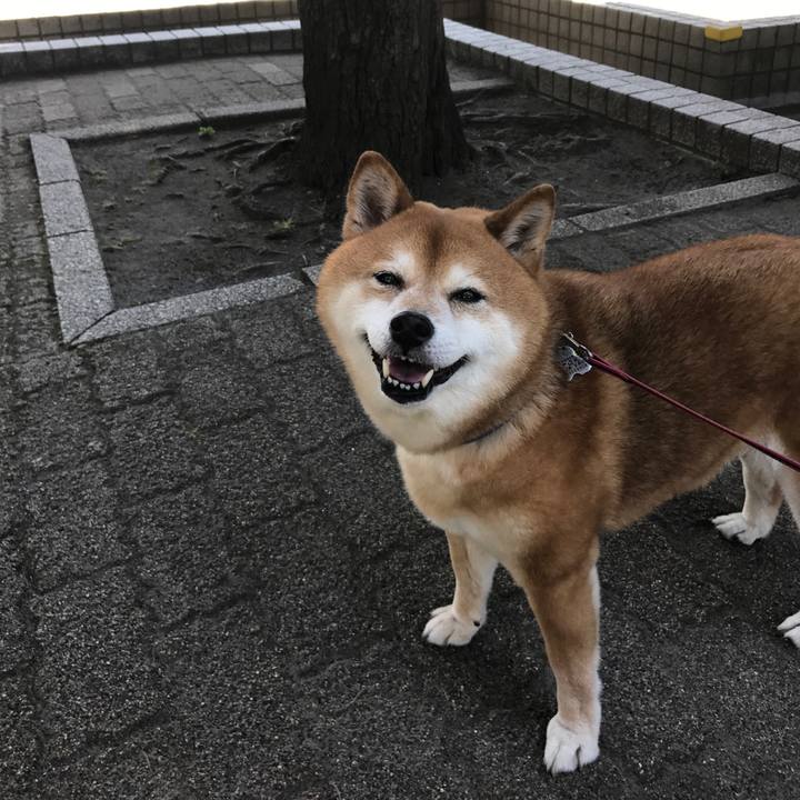 15a2eaf7 eeb4 495e b486 f9efd012daa7 1525614150496