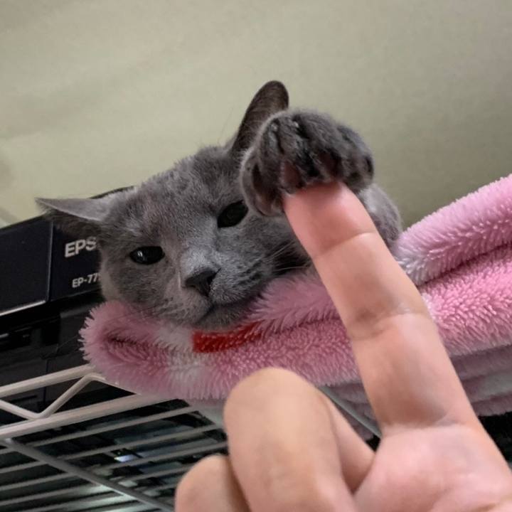 15a2ed23 dc60 42cb 82a1 e0128a98332e 1676620721607