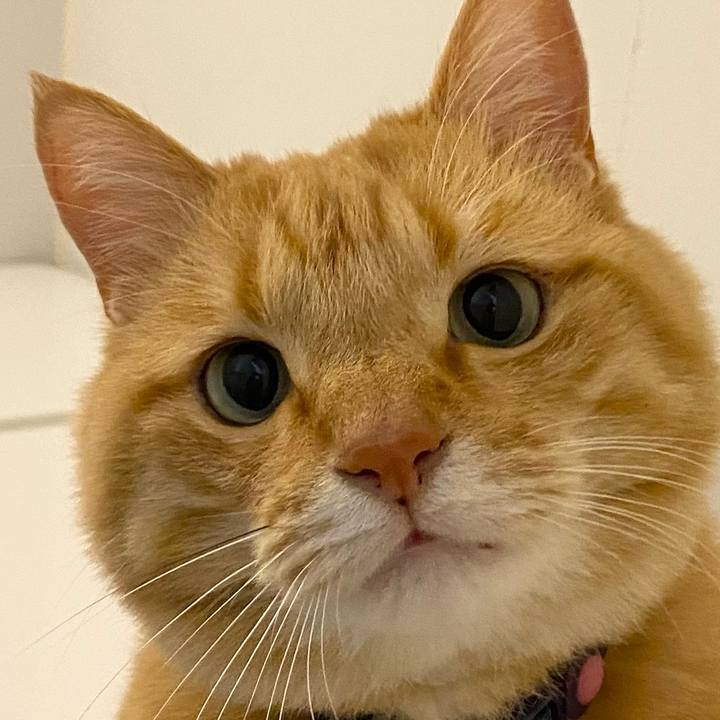 15a2f4e9 5e5a 4ca1 93d9 8d3820f91c67 1638626345290