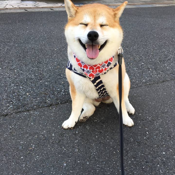 15a31788 1696 4ca1 98d3 cd4fe8fabf4f 1569544511203