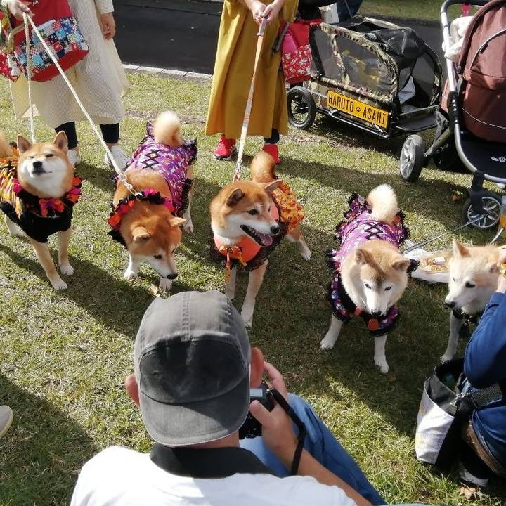 15a34778 135d 4bca a5bd 618467b11ea3 1667106829875