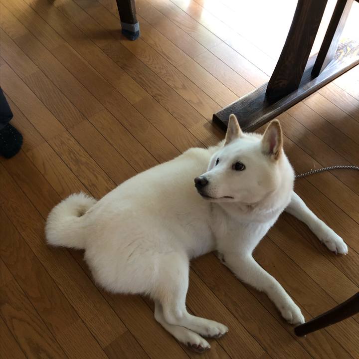 15a36bc7 fc8b 4e55 bbcb 70963b8f6bfd 1570335303633