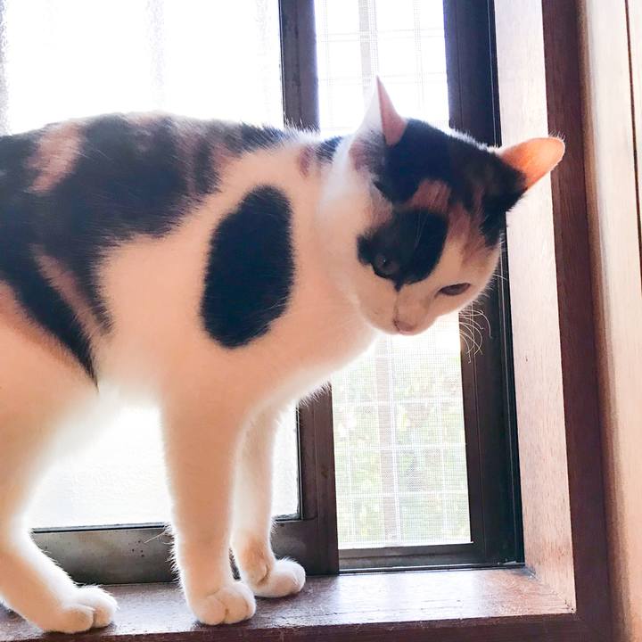 15a373f2 56bf 47ed a3c1 19c9237067b3 1515023925513