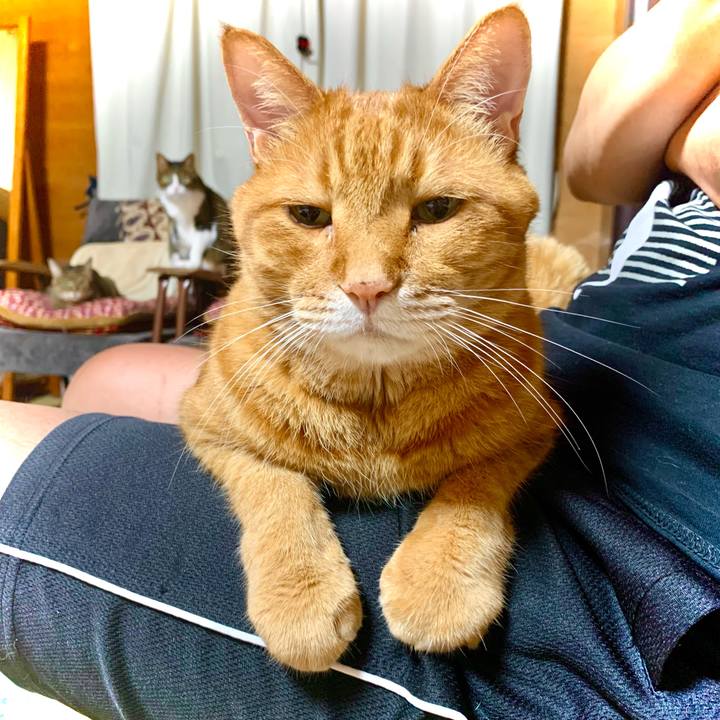 15a3895b 4f75 45c5 8a9f ec5bbaea1fec 1627217226479