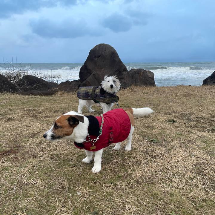 15a3bd08 55ed 492e 9927 90c4532f6c1e 1706223862944