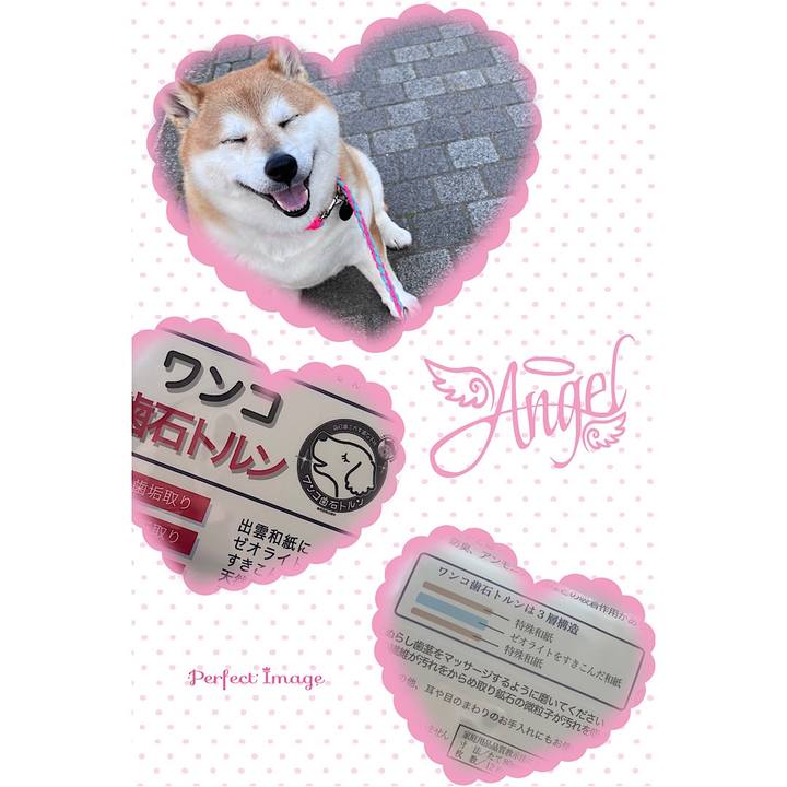 15a3ca41 a4f5 4e14 95d2 f7b941f74e6d 1683178620427