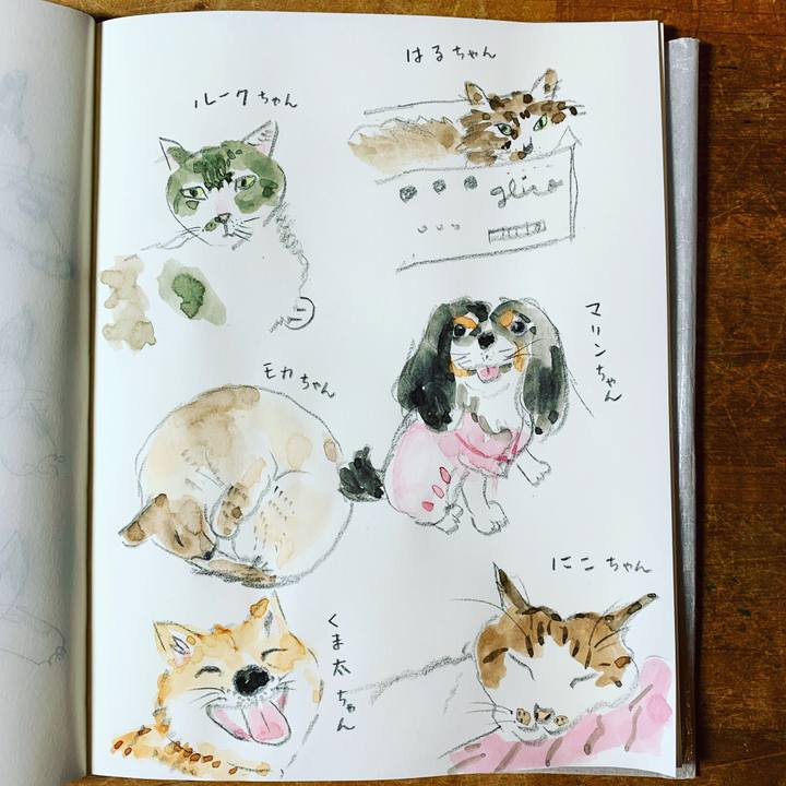 15a3cc6d 38e2 4326 8629 9f3a8619448e 1588503799387