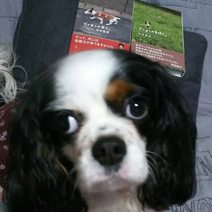 15a40bb6 d63a 4690 b4b3 38e91243e0f9 1523941206981