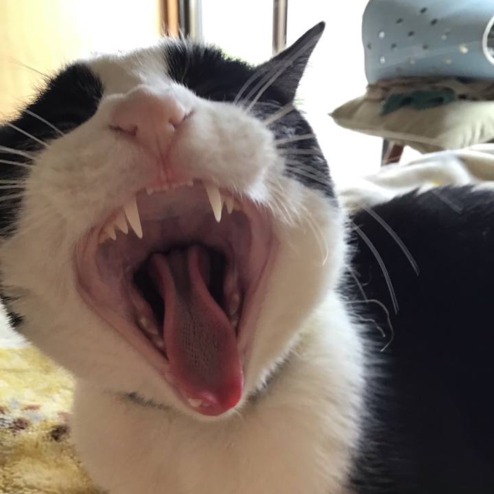 15a427c6 699a 453a ad30 86ef9f6eb284 1652604253086