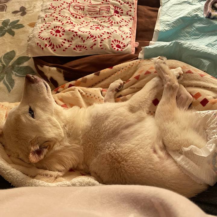 15a45836 5bac 44da b70c cb4ee70de061 1675903933637