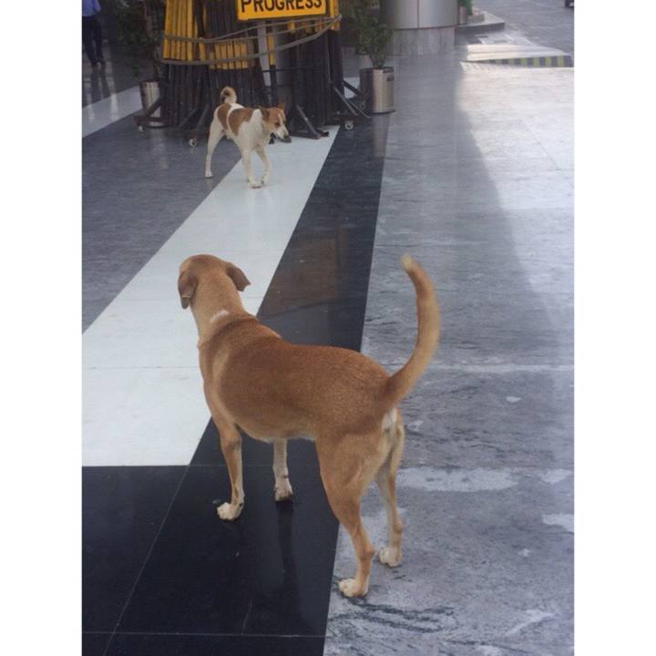 15a481cb 0bac 4ede b754 68cec21f208d 1524237080342